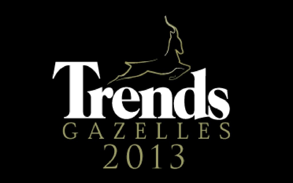 Trends Gazellen 2013