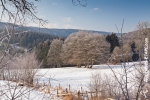 Ardennen - Winter - Sneeuw (22).jpg