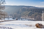 Ardennen - Winter - Sneeuw (20).jpg