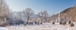 Ardennen - Winter - Sneeuw (19).jpg