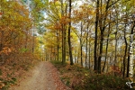 De Ardennen in de herfst (4).jpg