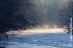Ardennen - Winter - Sneeuw (1).jpg