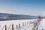 Ardennen - Winter - Sneeuw (28).jpg
