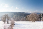 Ardennen - Winter - Sneeuw (24).jpg